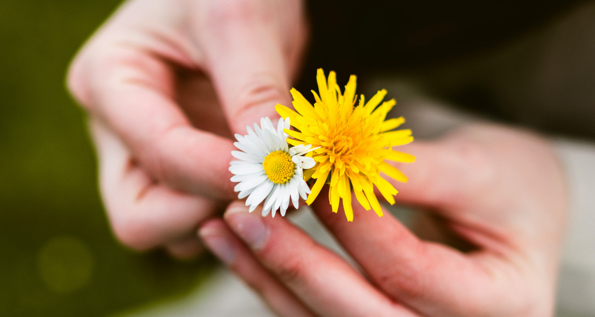 Article depression tips